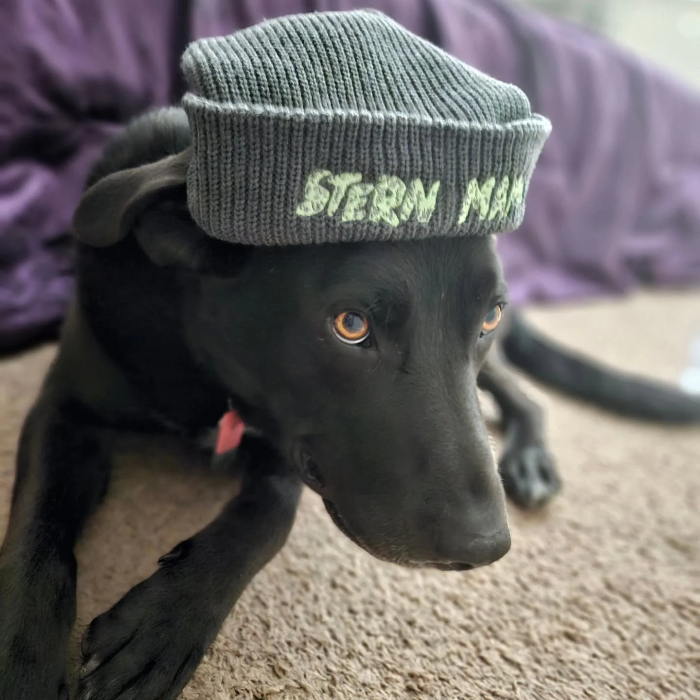 Stern Mama beanies are now available in sea foam!

Grab one at the @whiteakercommunitymarket this Sunday, 5/24, 10am - 3pm.

Can't make it Sunday? We're popping up at @gratitudebeer every second Wednesday,  so you're next chance to catch us is 6/10 5