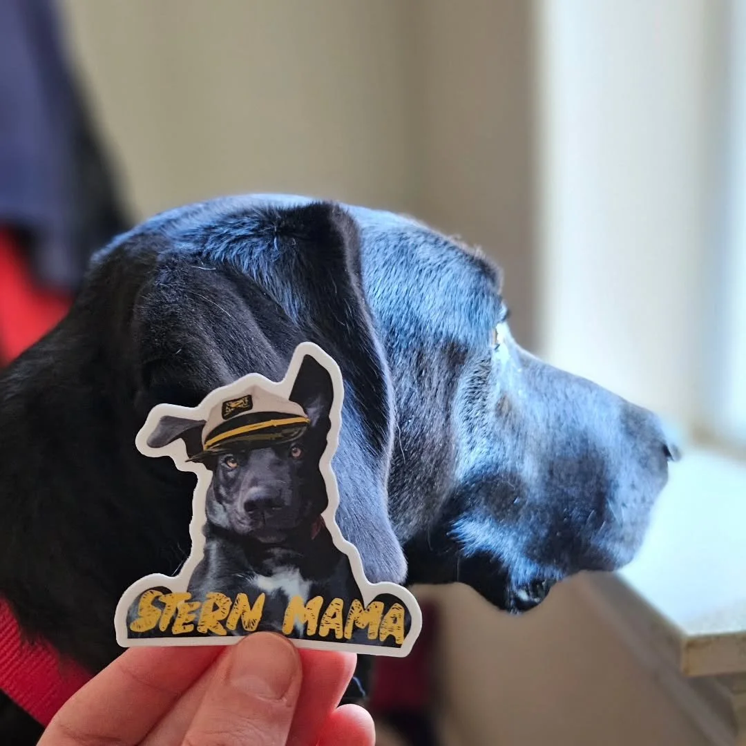 Hard to believe it, but we're going to run out of Mowgli stickers this week (a.k.a. Captain Dog)!

Don't worry, we're ordering 500 more to get us through the rest of the summer.

And Twilight-inspired Kimchi stickers will debut at the @springfieldblo