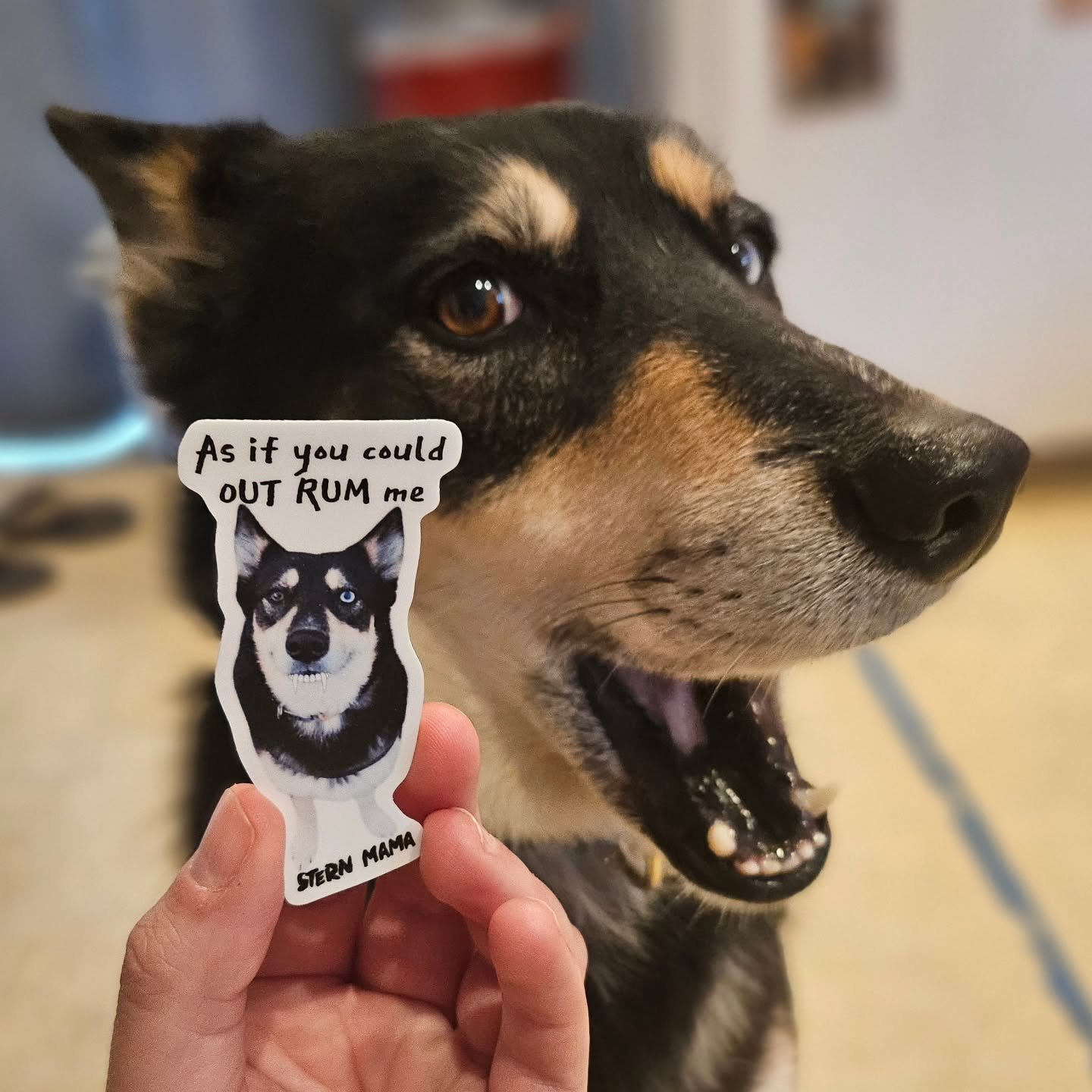 Have you heard?!

Stern Mama Distilling ordered 1,000 new stickers to release at the @springfieldblockparty, and we hope it's enough!

Grab one at our booth Saturday, 9/12, 4pm - 10pm!

And if you're 21+ you can try one free sample of our Oregon-made