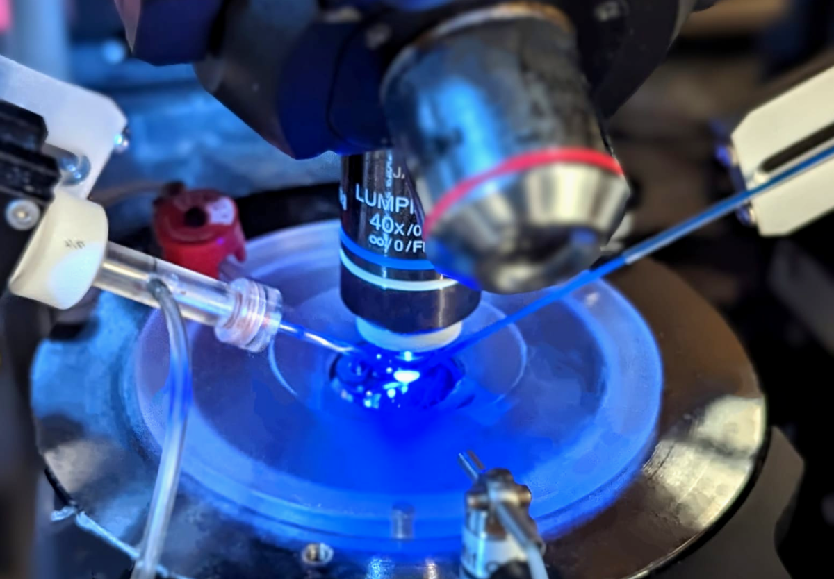 ephys-rig.png
