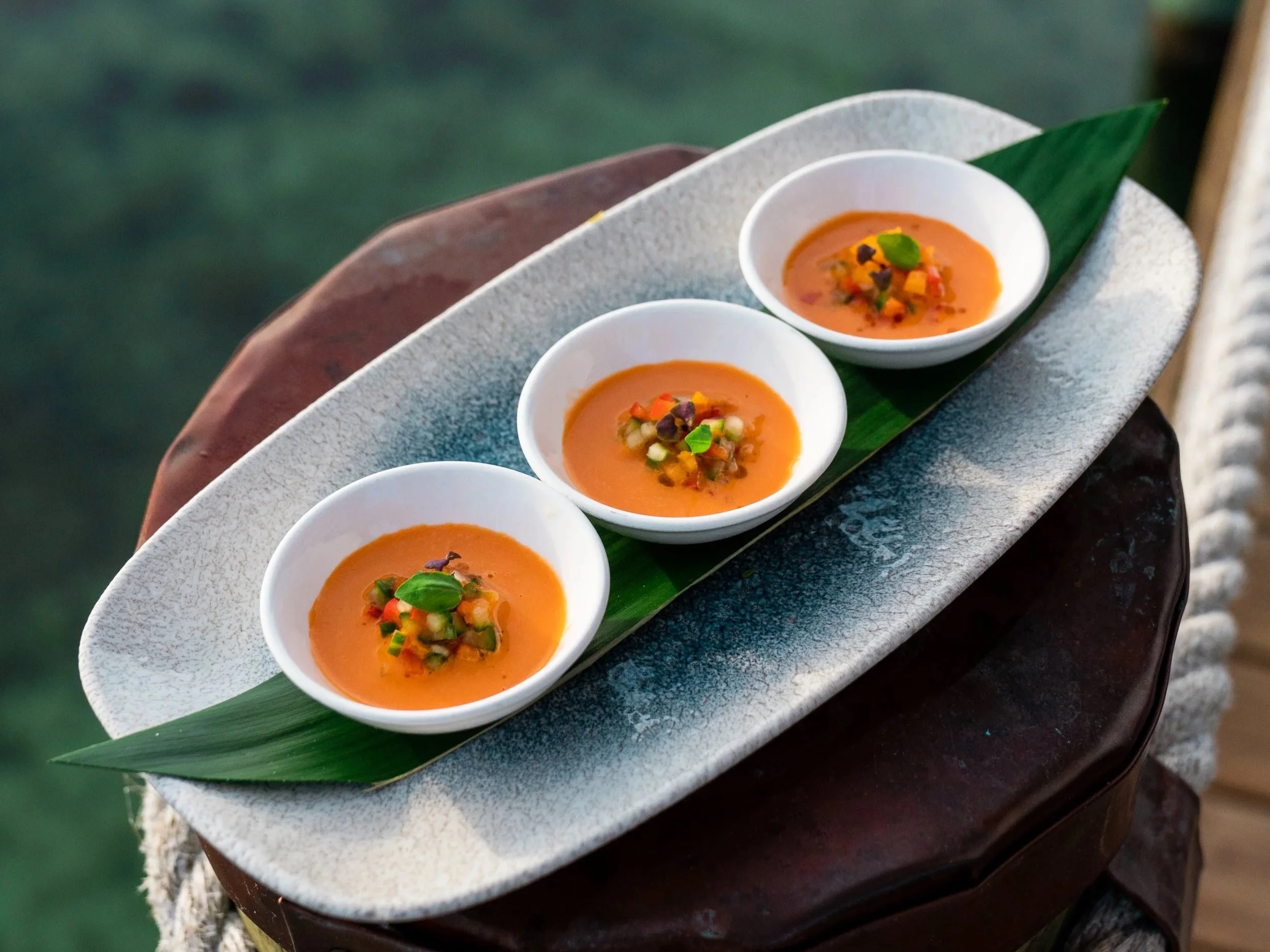 Vegetable Gazpacho | Passed Hors D'oeuvres | Photo by Lost Media Photography