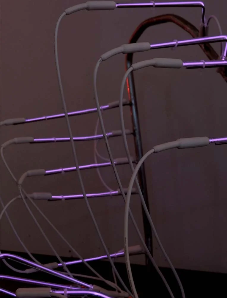 DSCF66462 copy 2.jpg