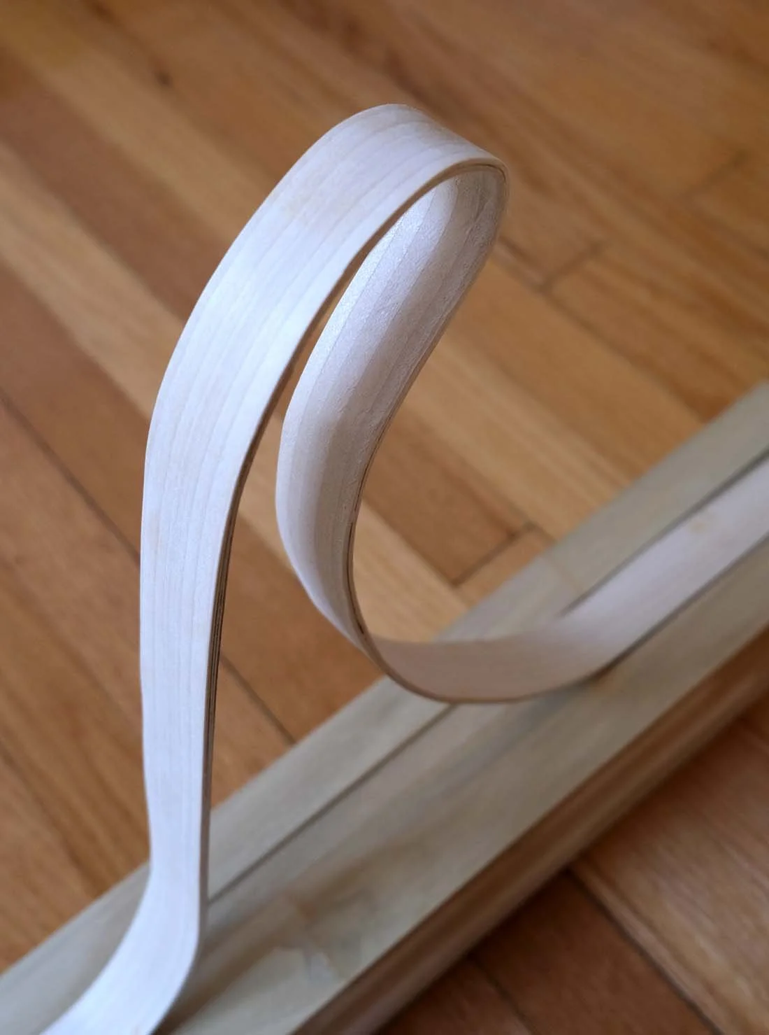 Trigger, 2025. Wood, 23 ½  x 16 x 4 in  
(60 x 41 x 9.5 cm)