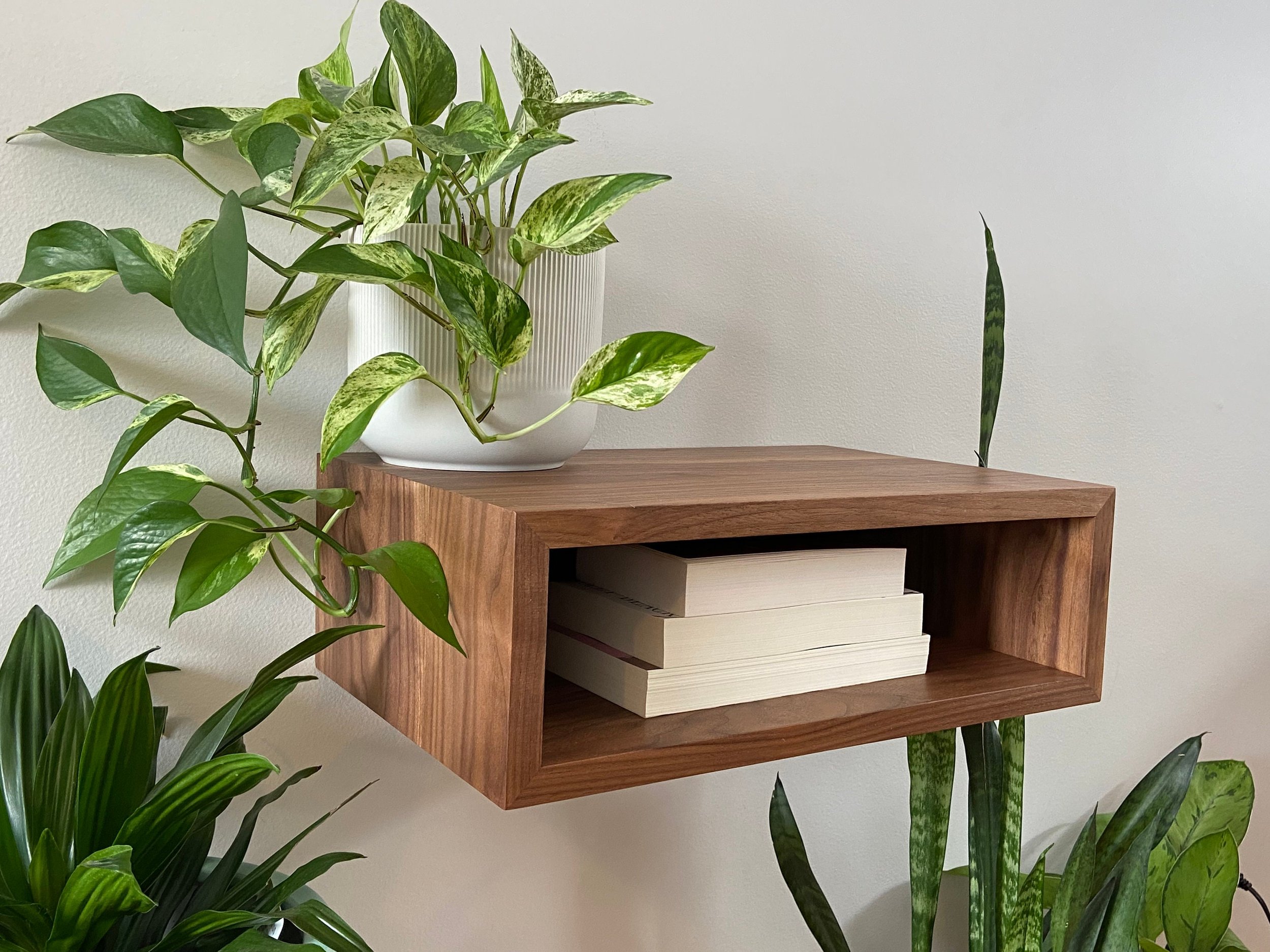 https://i.etsystatic.com/30144586/r/il/08ab30/3735355670/il_fullxfull.3735355670_6xq9.jpg