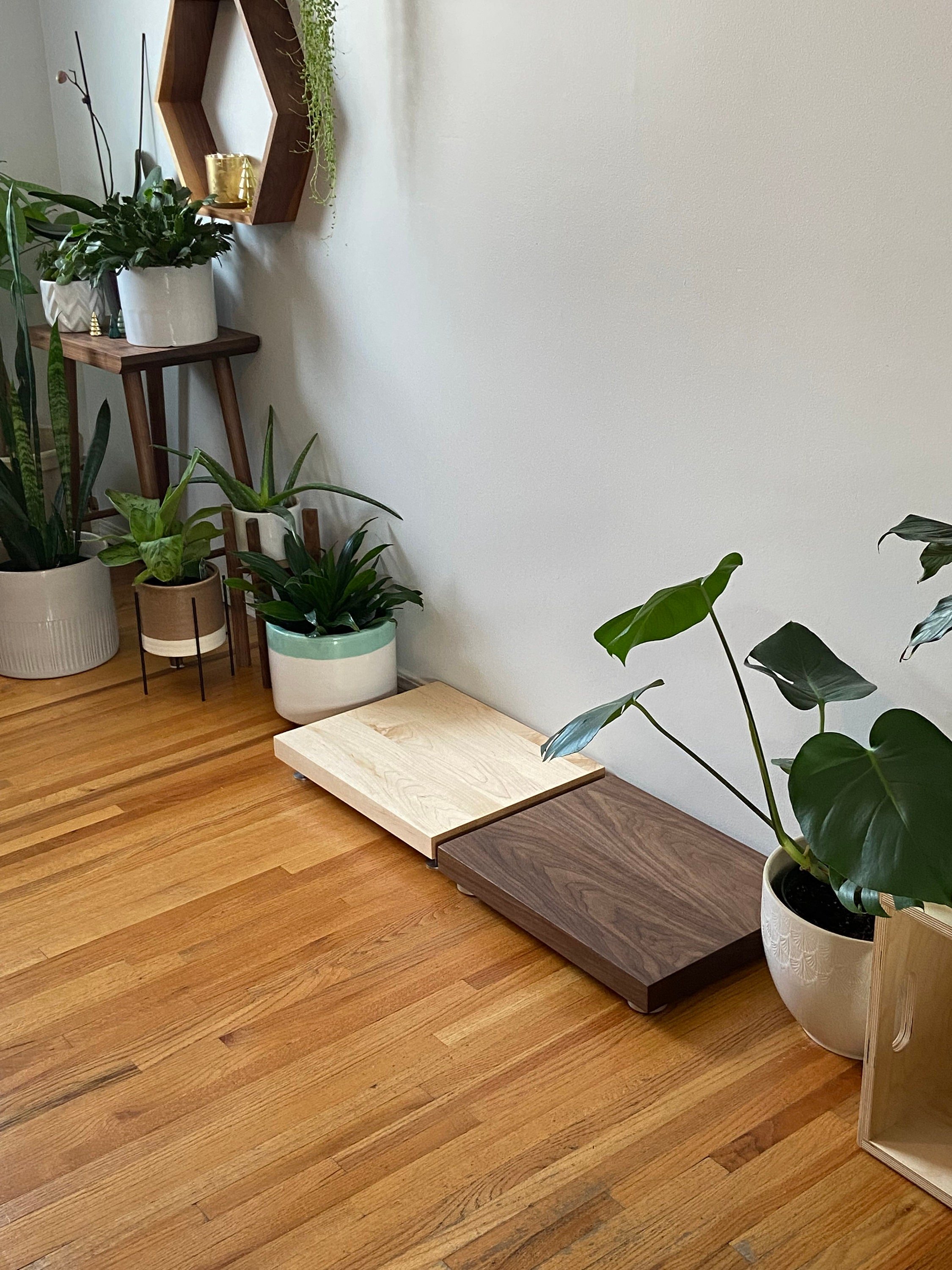 https://i.etsystatic.com/30144586/r/il/42313c/3696821503/il_fullxfull.3696821503_4cts.jpg