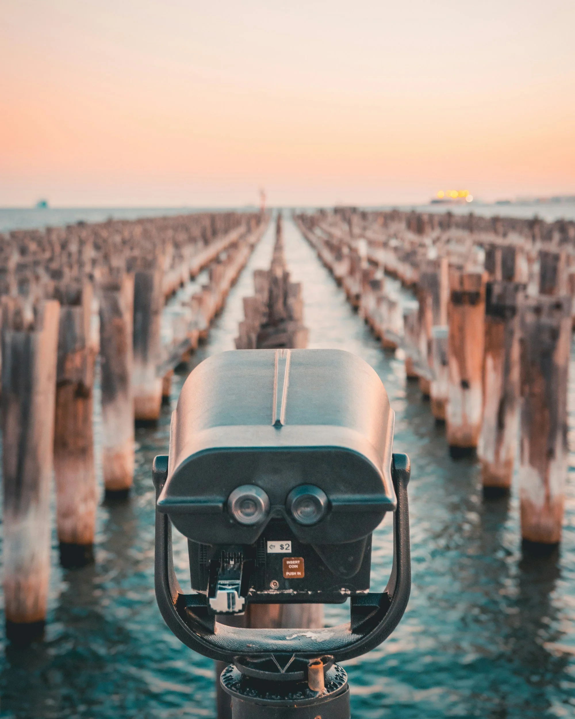 Human By Choice II: A Vantage of Choice