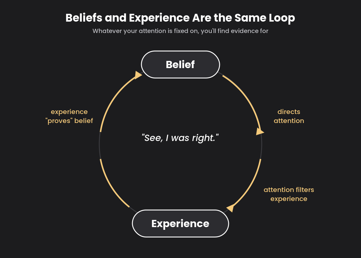 Working With Beliefs, Part Two: The Automated Attention Mechanism Behind Your Personal Reality