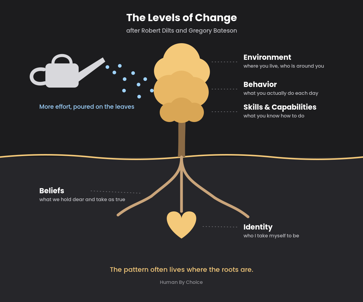 The Levels of Change: a tree with Environment, Behavior and Skills in the leaves, and Beliefs and Identity in the roots, with a watering can pouring effort on the leaves