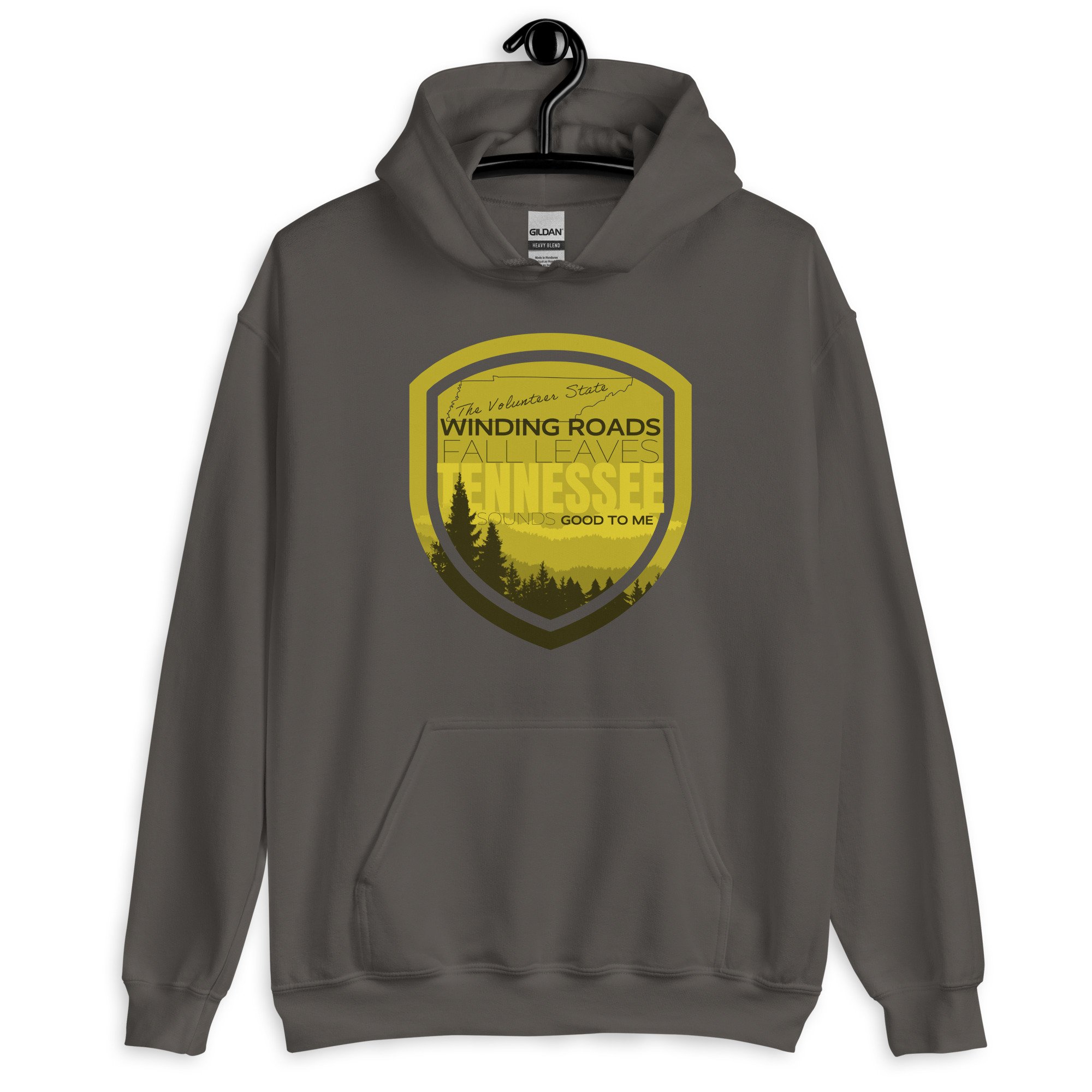 unisex-heavy-blend-hoodie-charcoal-front-681d90e42fa70.jpg