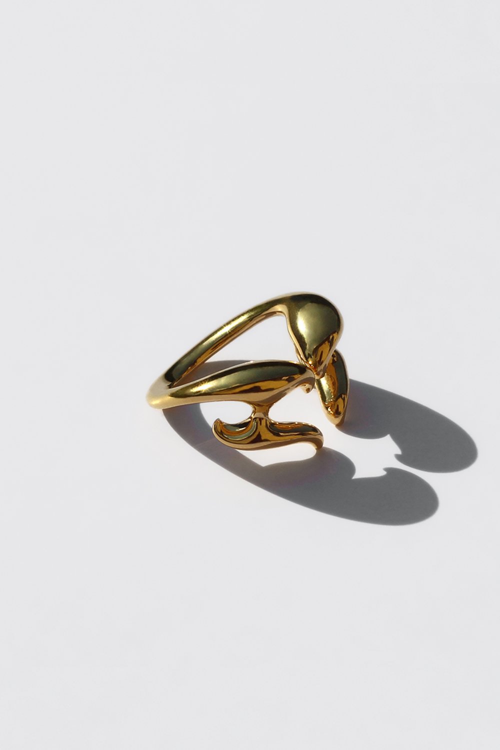 Adronitis - Gold Ring 9.jpg
