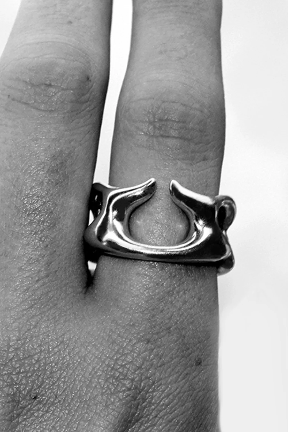 Aconits - Silver Ring 3.jpg