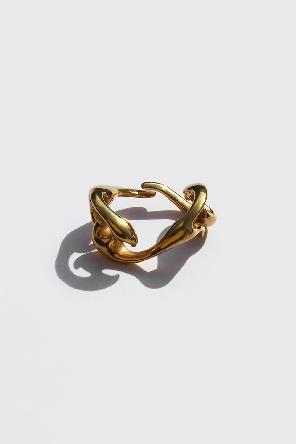 Ibicella - Gold Ring 9.jpg