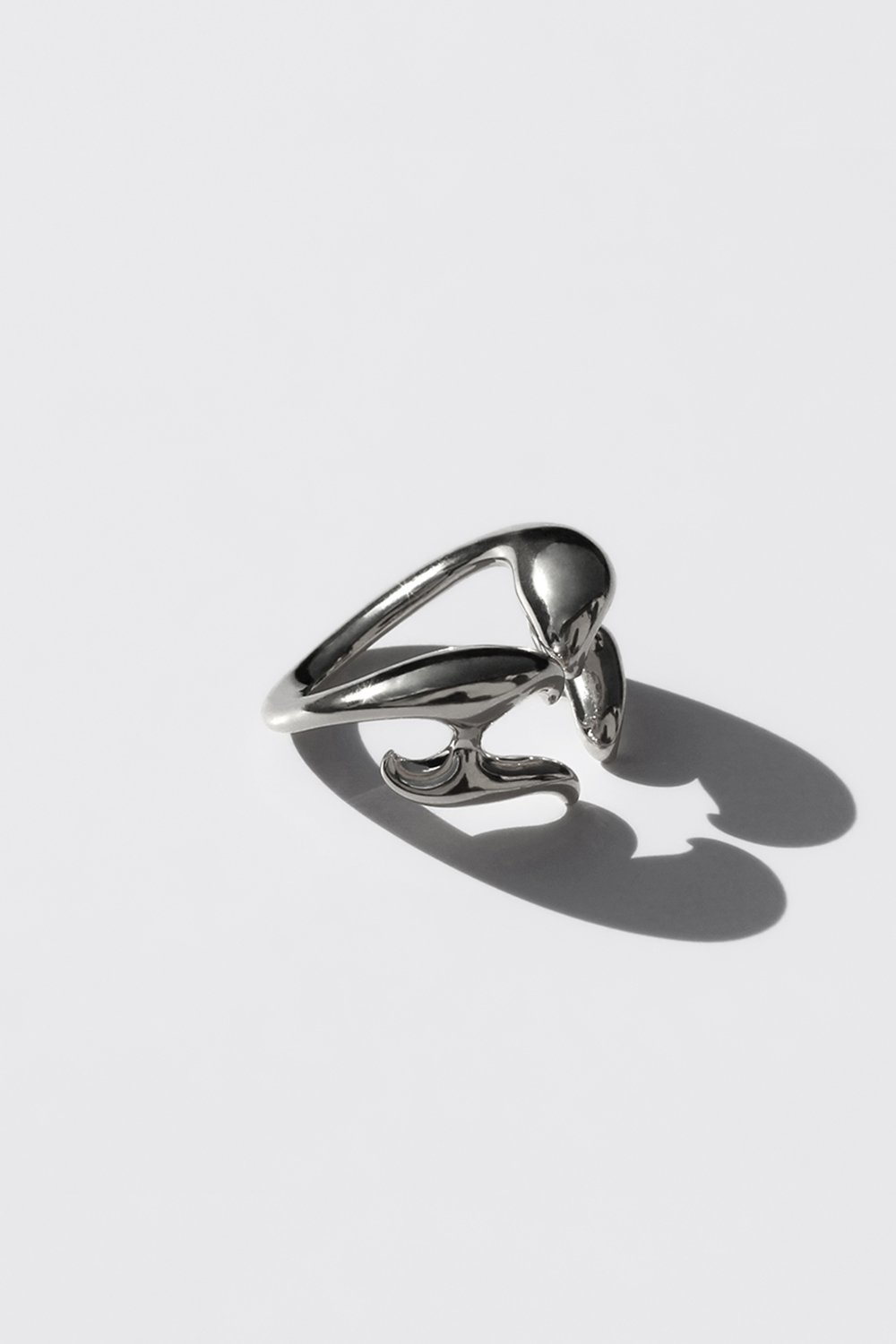 Adronitis - Silver Ring 9.jpg