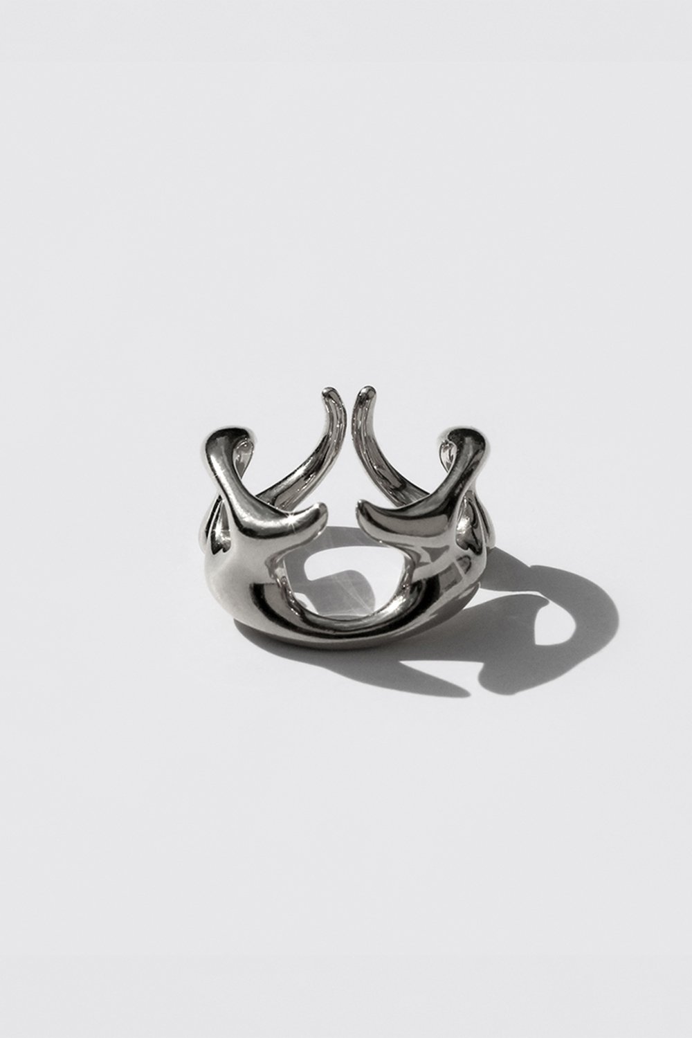 Aconits - Silver Ring 9.jpg
