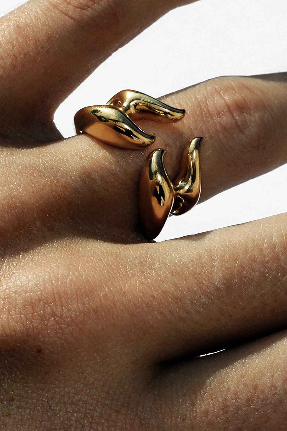 Adronitis - Gold Ring 2.jpg