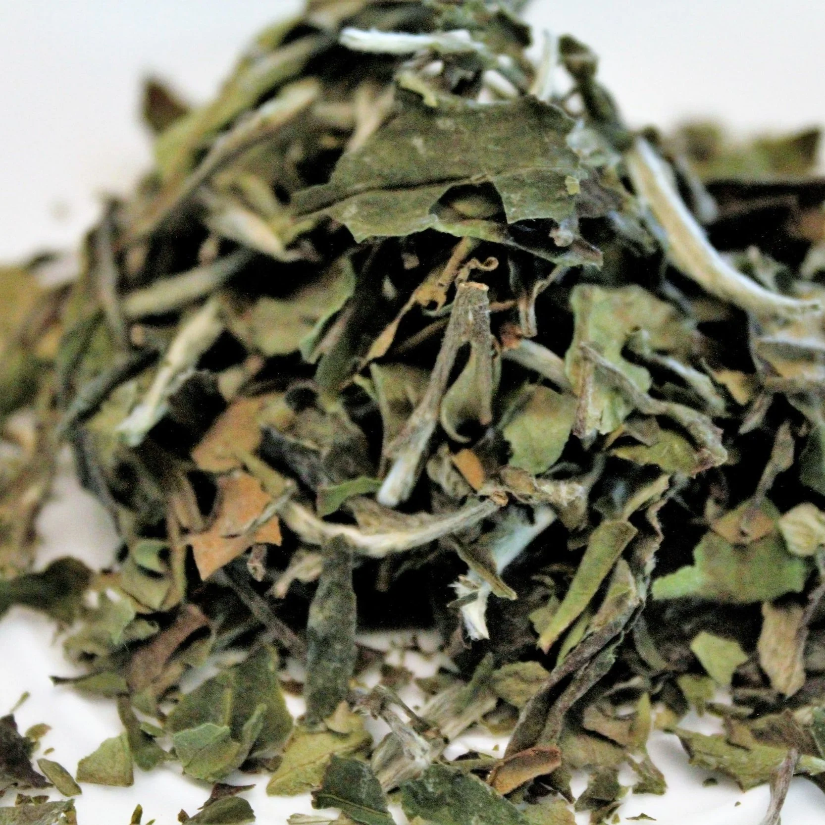 White Peony Tea A Complete Guide — Rosie Loves Tea