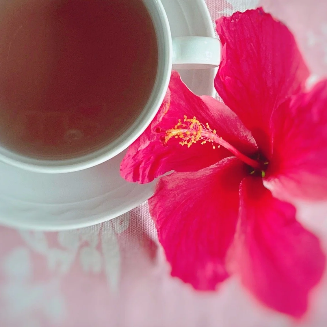 How to Make Fresh Hibiscus Flower Tea — Rosie Loves Tea