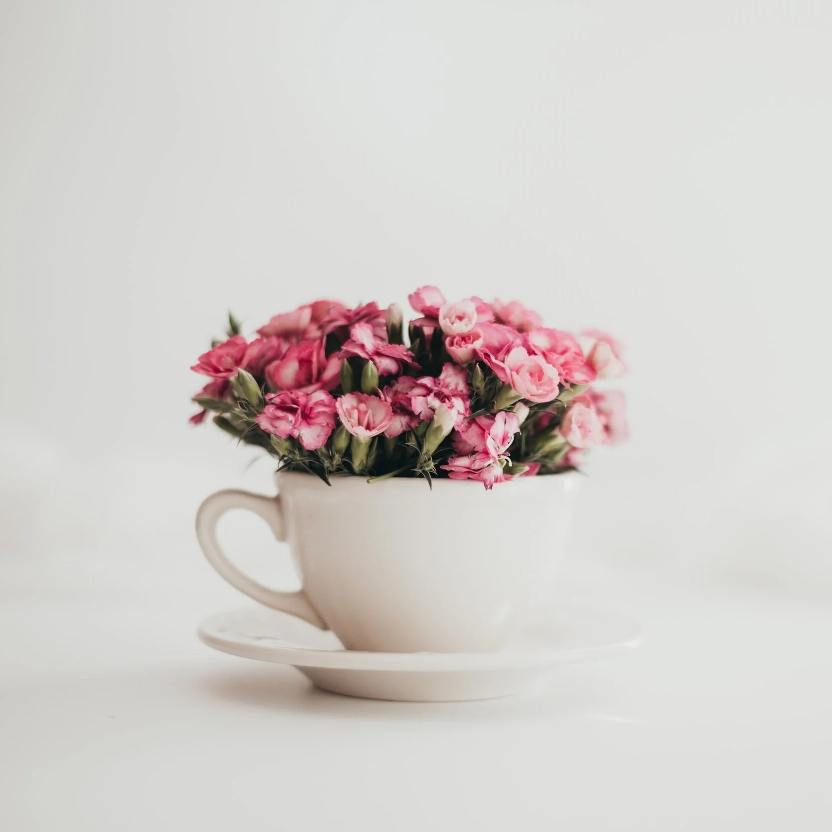 How to Make Rose Tea Properly - Oh, How Civilized