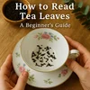 Tea Leaf Reading Guide for Beginners — Rosie Loves Tea