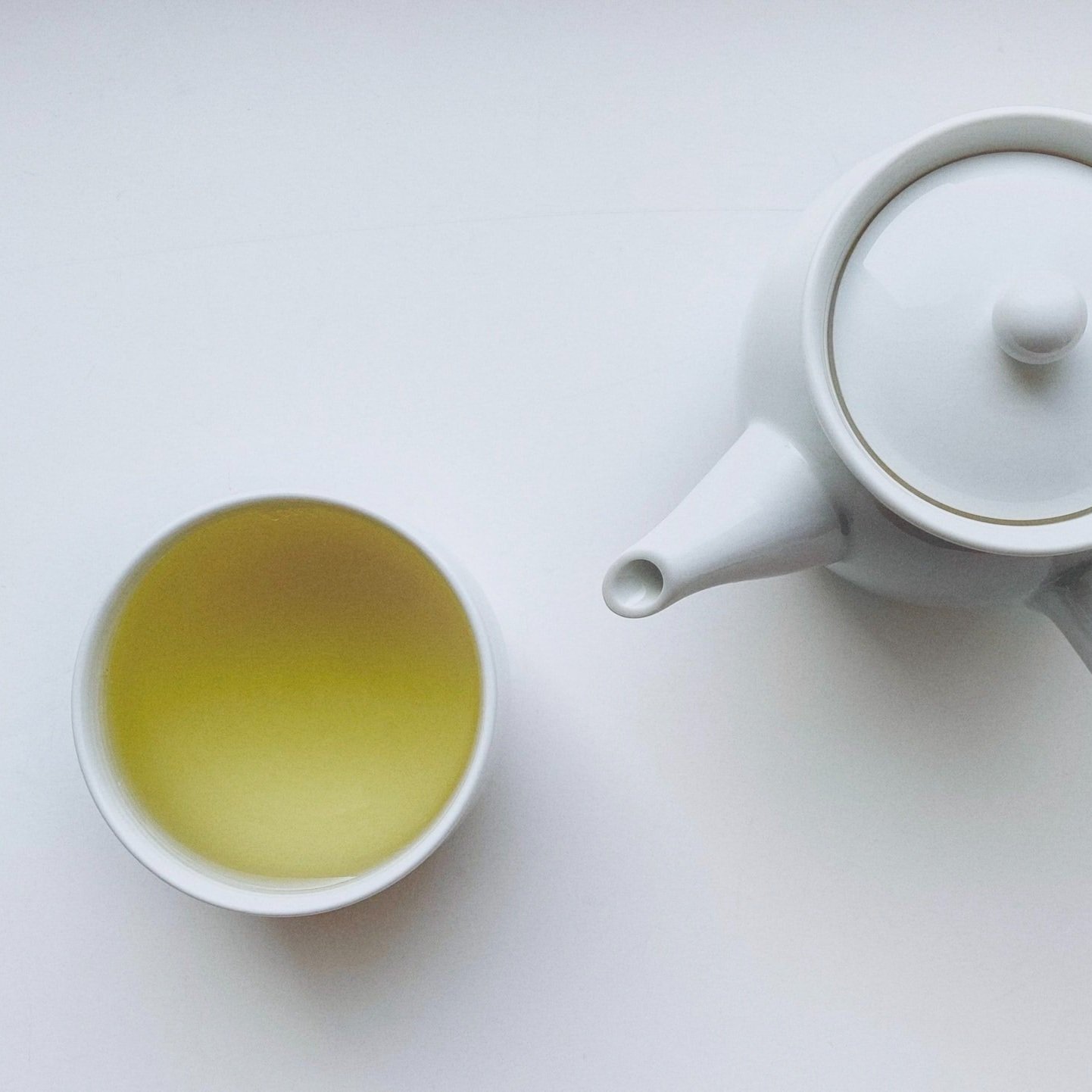 White Peony Tea A Complete Guide — Rosie Loves Tea