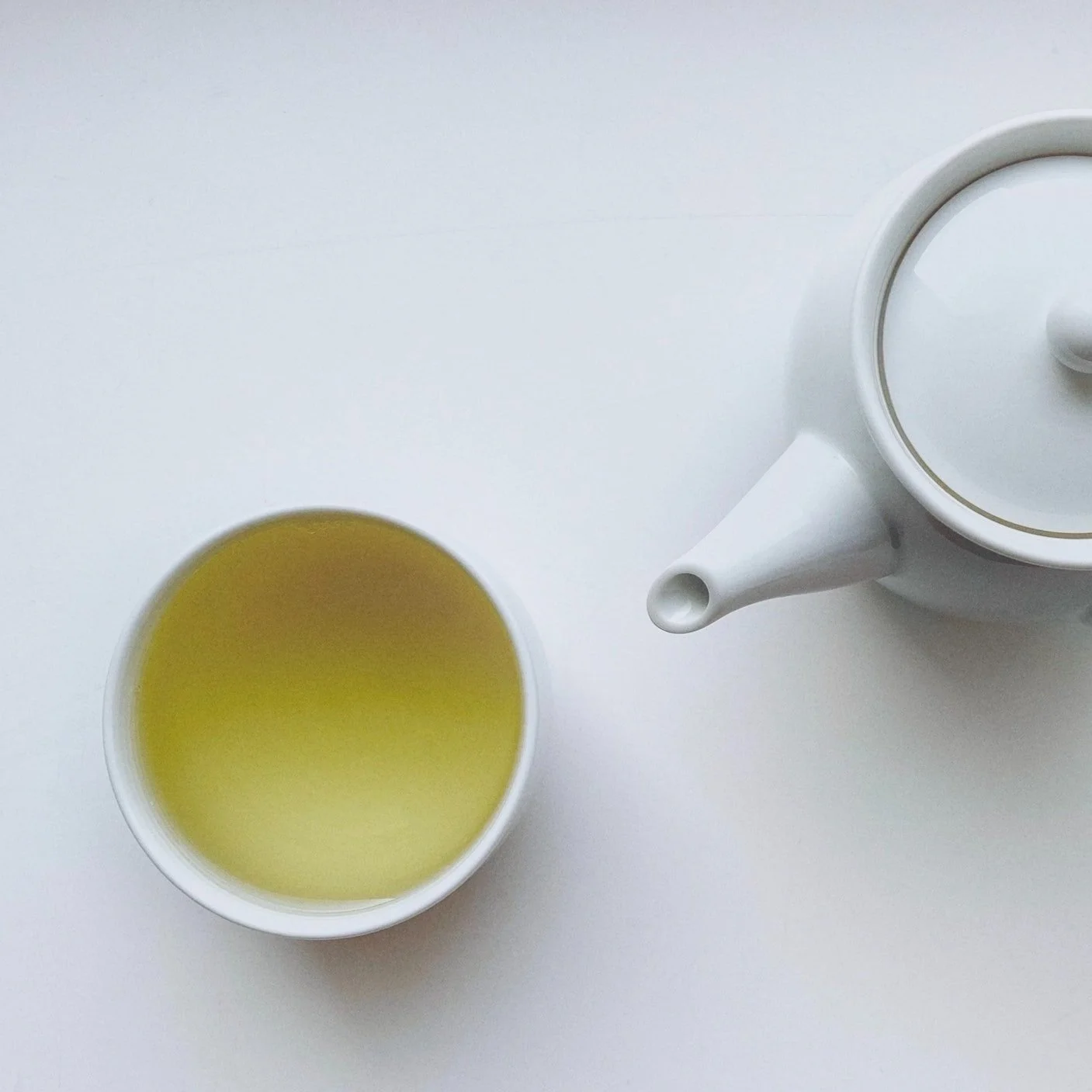 White Tea Origins, Processing, Taste — Rosie Loves Tea