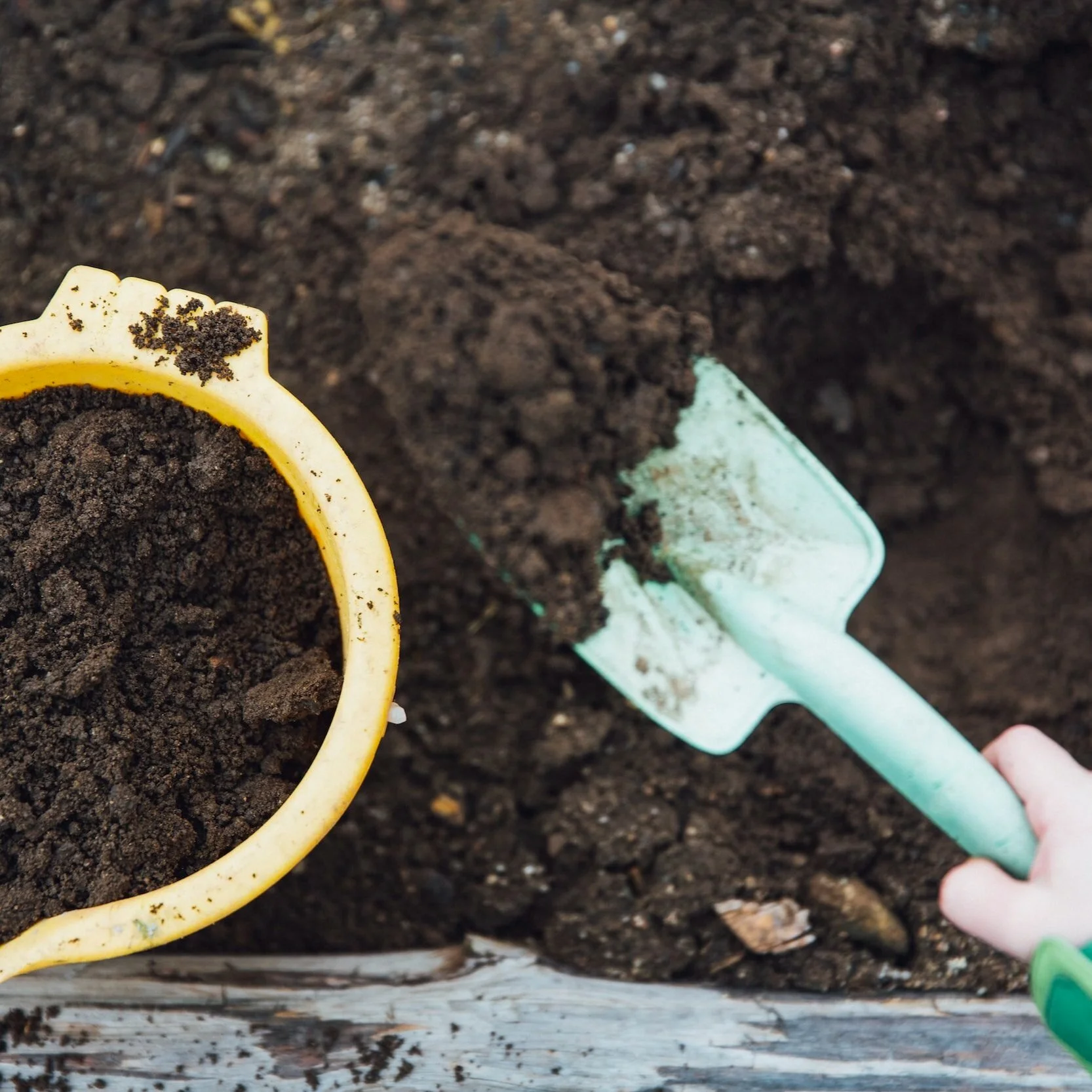 Composting Tea Boosting Plant Growth — Rosie Loves Tea