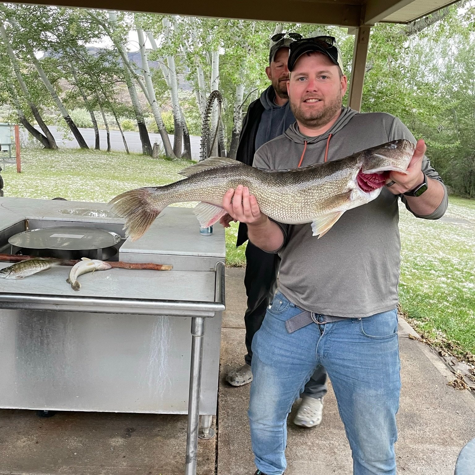 Walleye in Idaho?!? Yes, Sir! We got you covered with our Walleye catch  guide. Get ready to fight some of these monsters and fill your freezer with  some of the great tasting