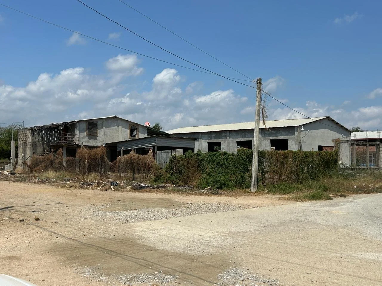 WhatsApp Image 2026-03-15 at 11.39.11 AM.jpeg