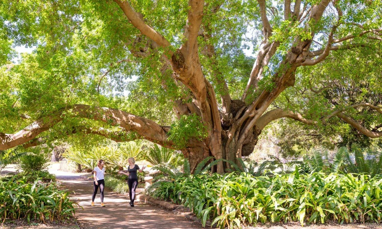 Two participants in a walking workshop engage in conversation along a garden path beneath large native Australian trees, using movement to process leadership ideas outside the boardroom.