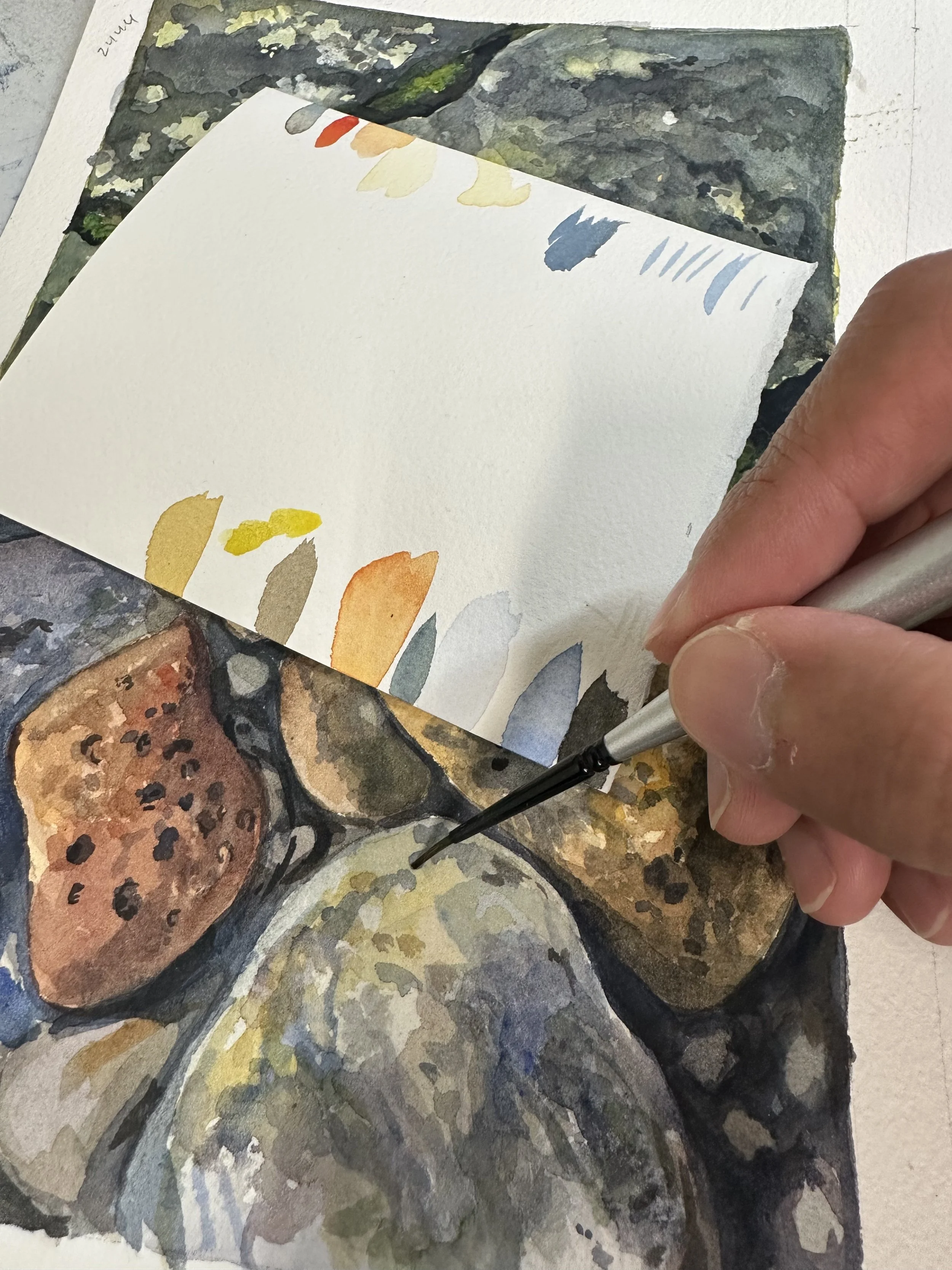 Beginning Watercolor Series: Washes &amp; Color Mixing