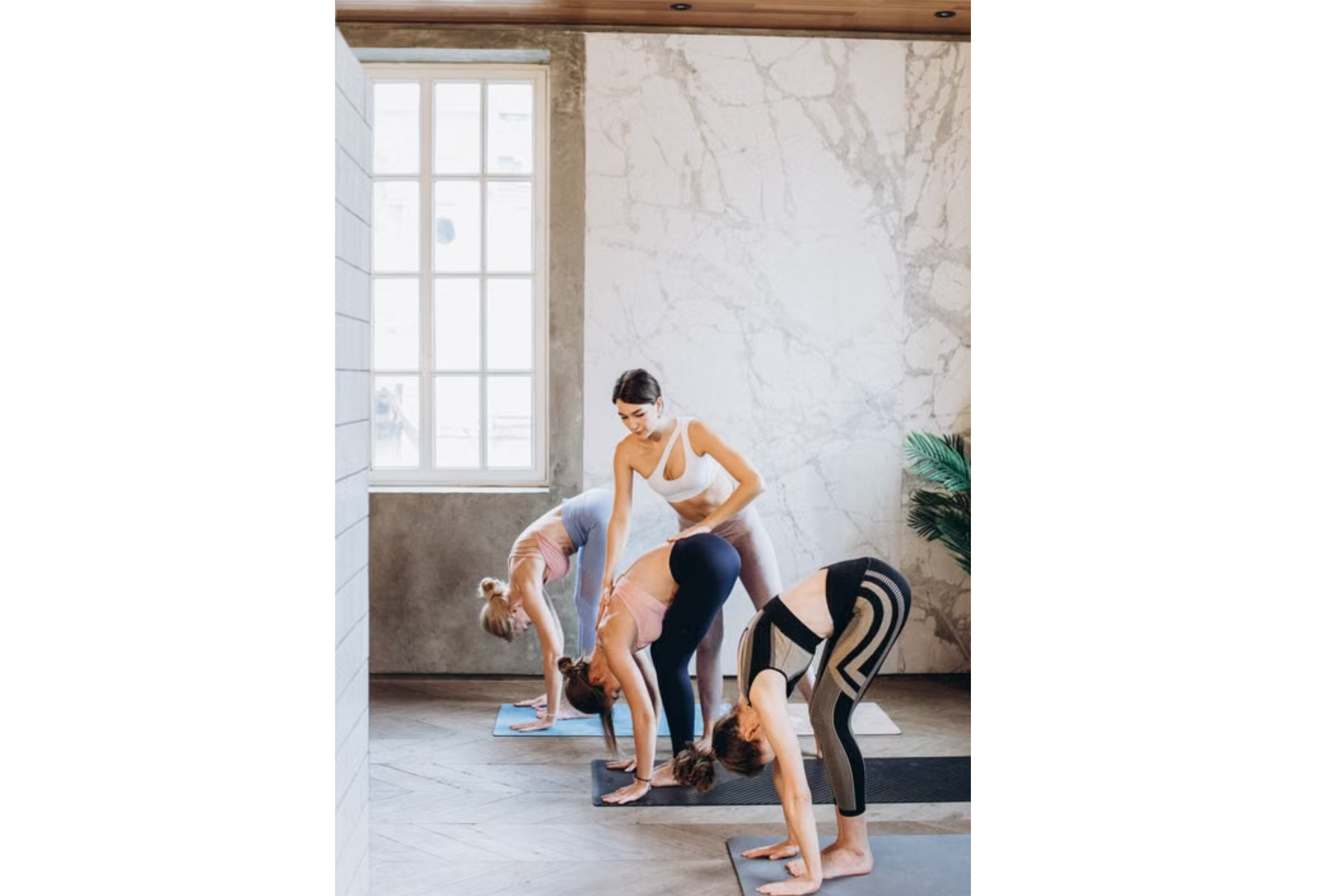 Start Your Yoga Journey Near Silverleaf with True Hot Yoga