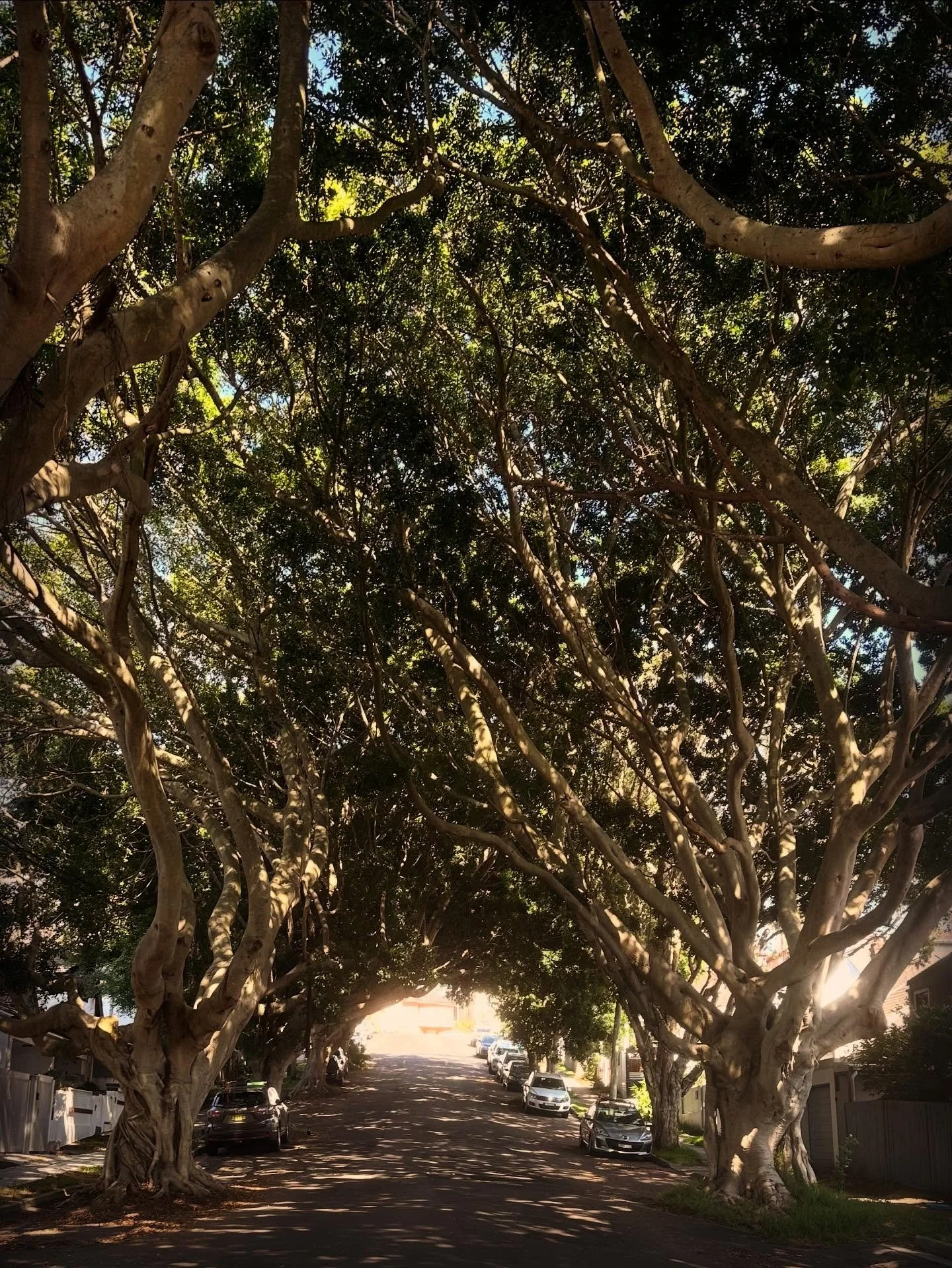 Bondi bound - site visit