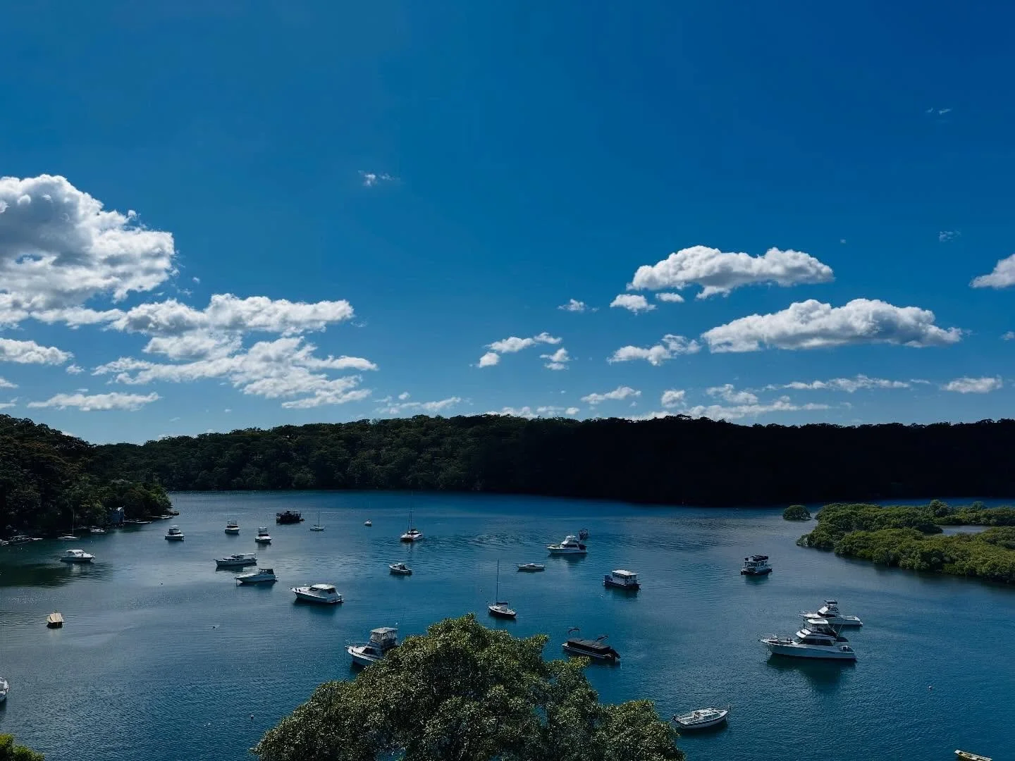 Above the tree tops of design ensembles newest project &ldquo;Penfold Island&rdquo; - Can&rsquo;t wait