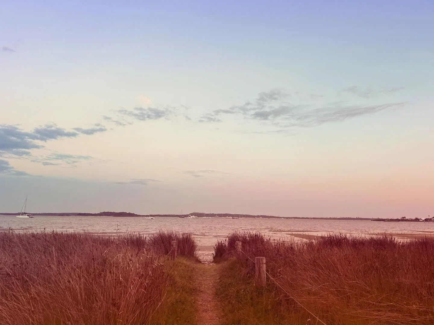 Introducing a new project - walks at &ldquo;Woodlands&rdquo;