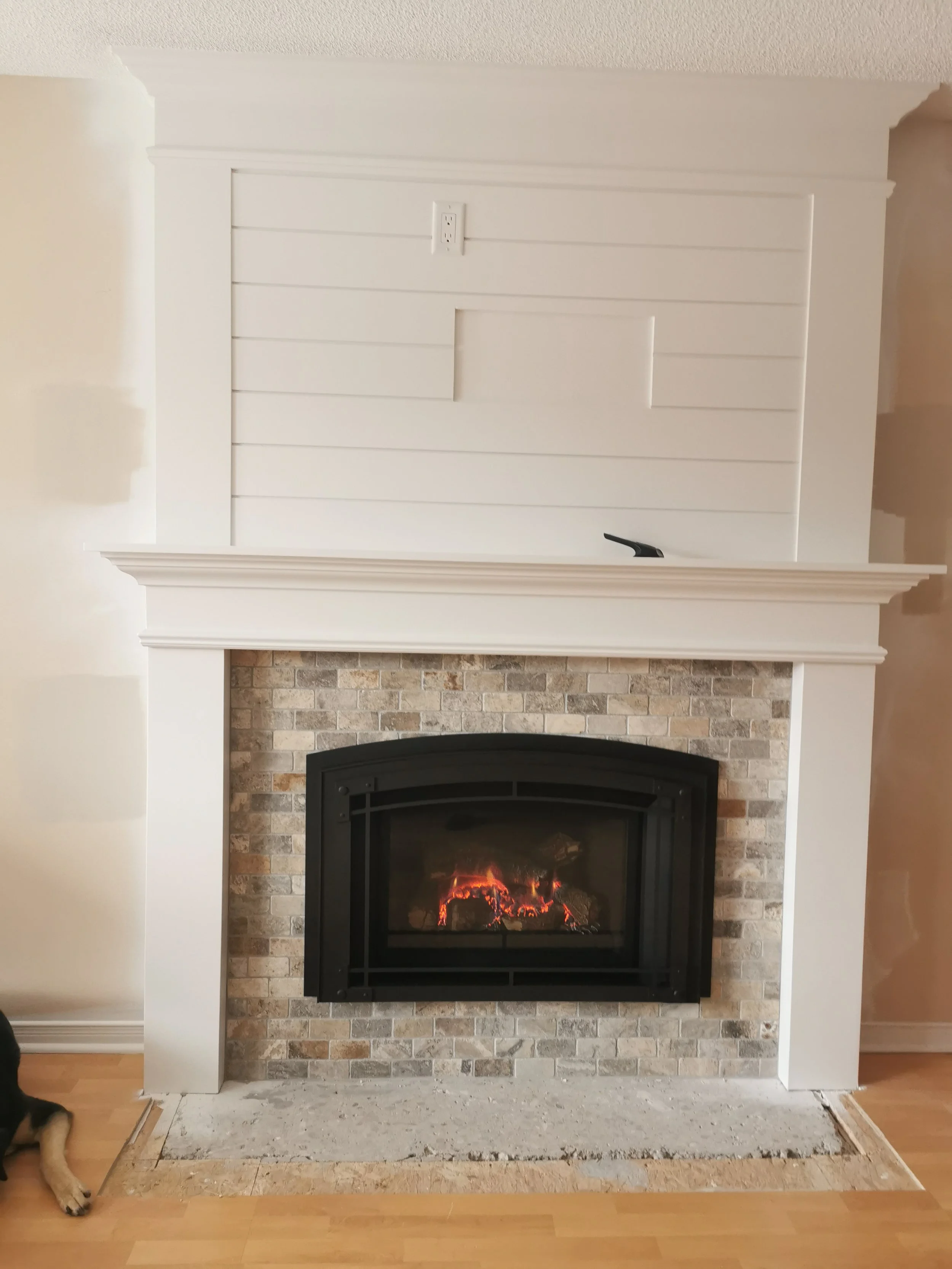 regency-l14-gas-insert.jpg