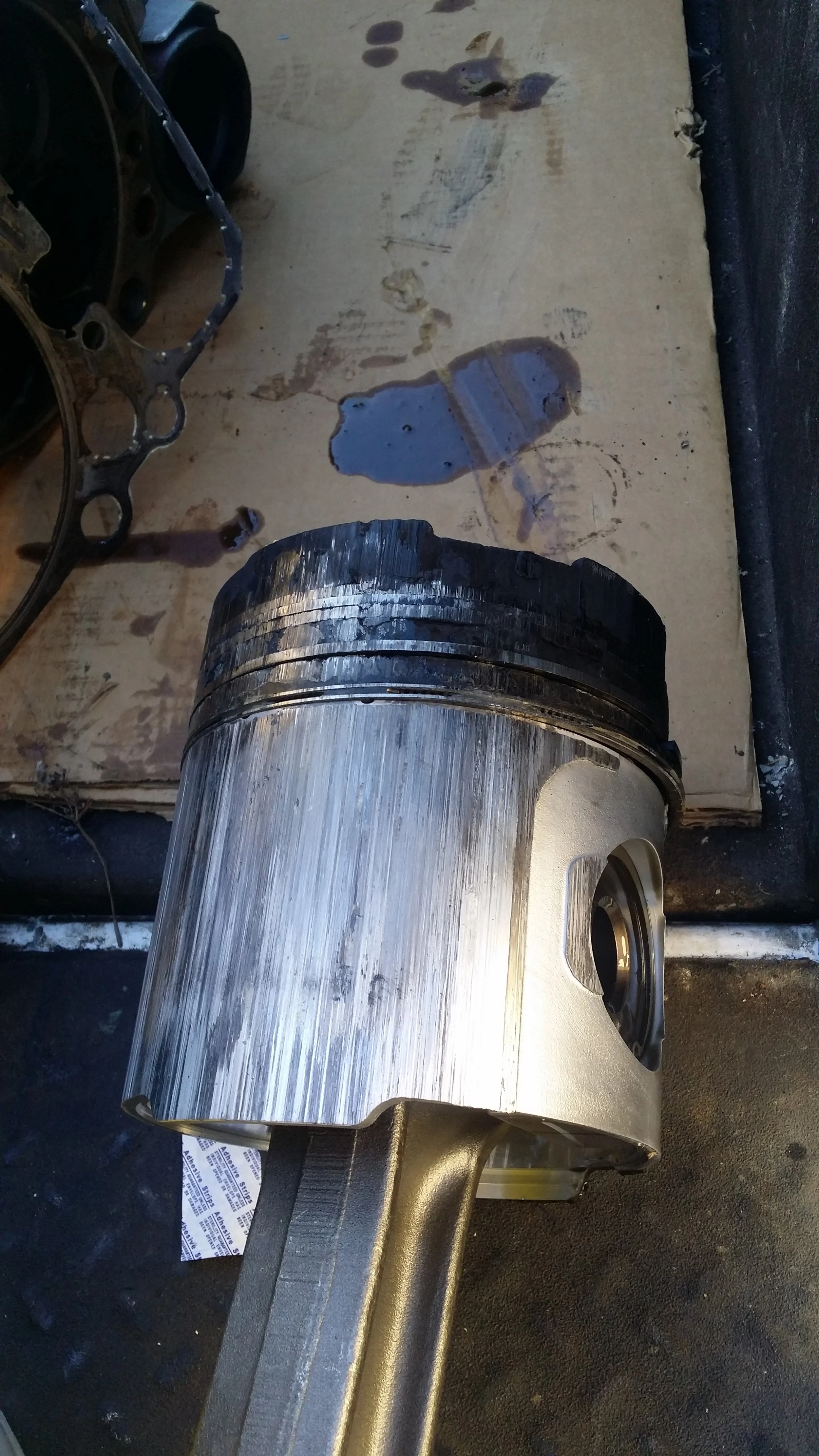 20161110_135421 - Copy.jpg