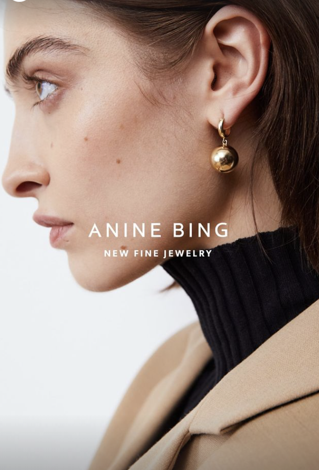 Anine Bing