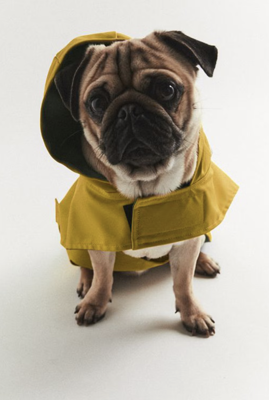 Screenshot 2023-11-15 at 10.20.17 PM.png