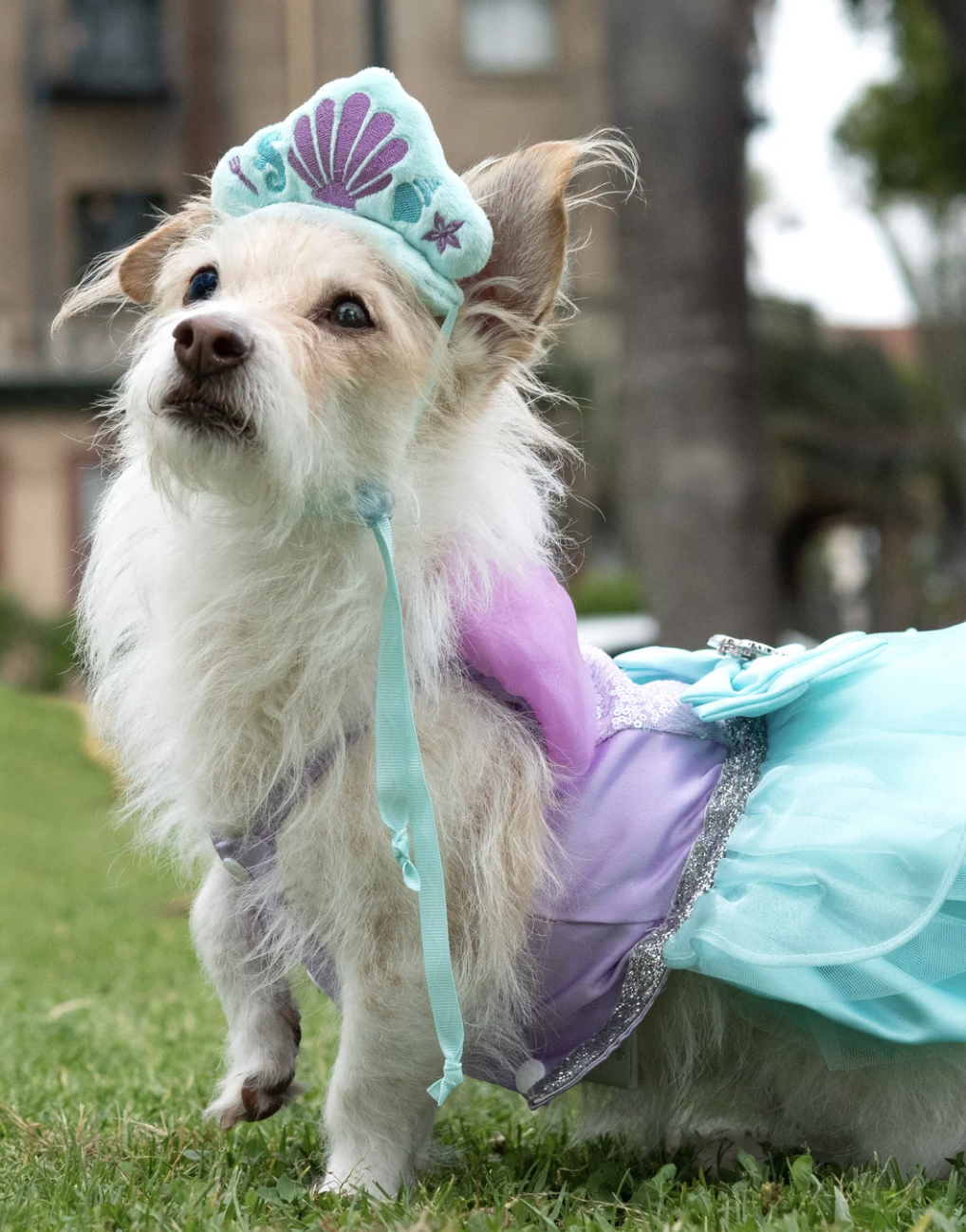 Screenshot 2024-11-13 at 7.55.30 PM.png