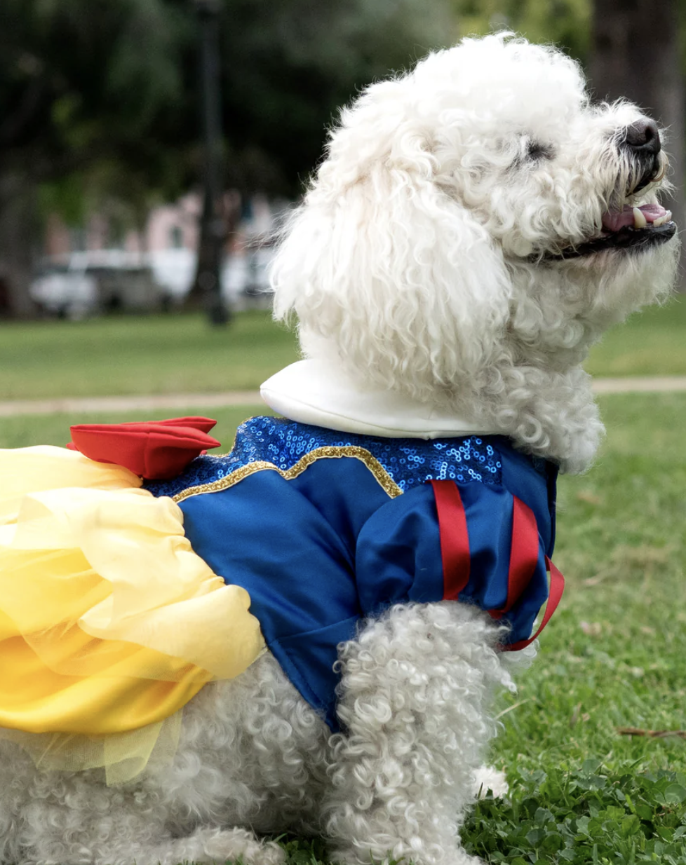 Screenshot 2024-11-13 at 7.59.34 PM.png