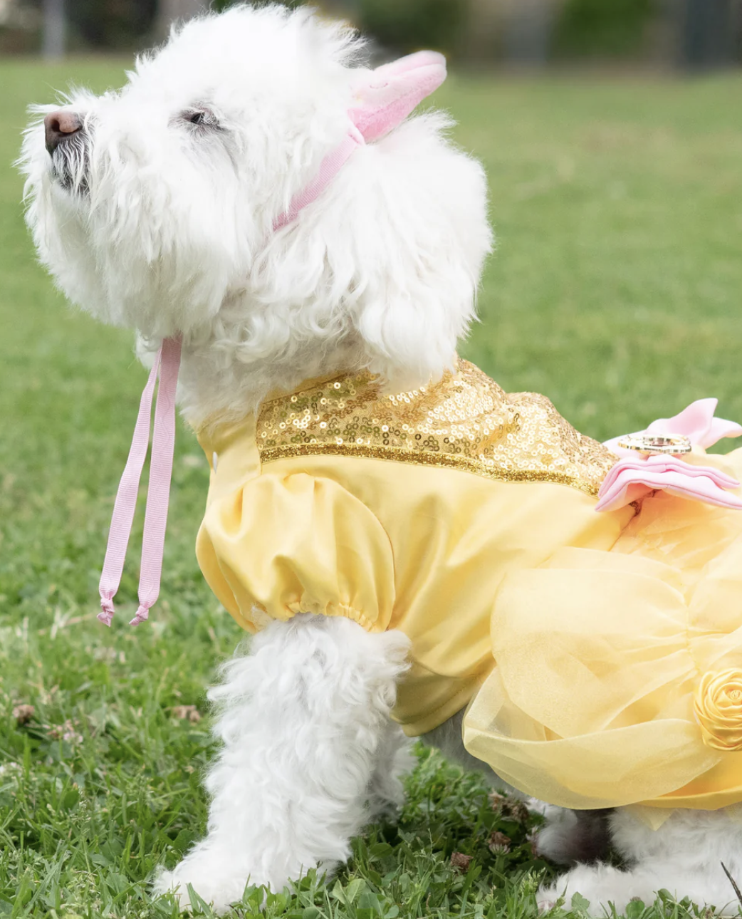 Screenshot 2024-11-13 at 7.57.17 PM.png