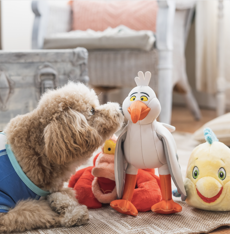 Harry Barker X The Little Mermaid Collection