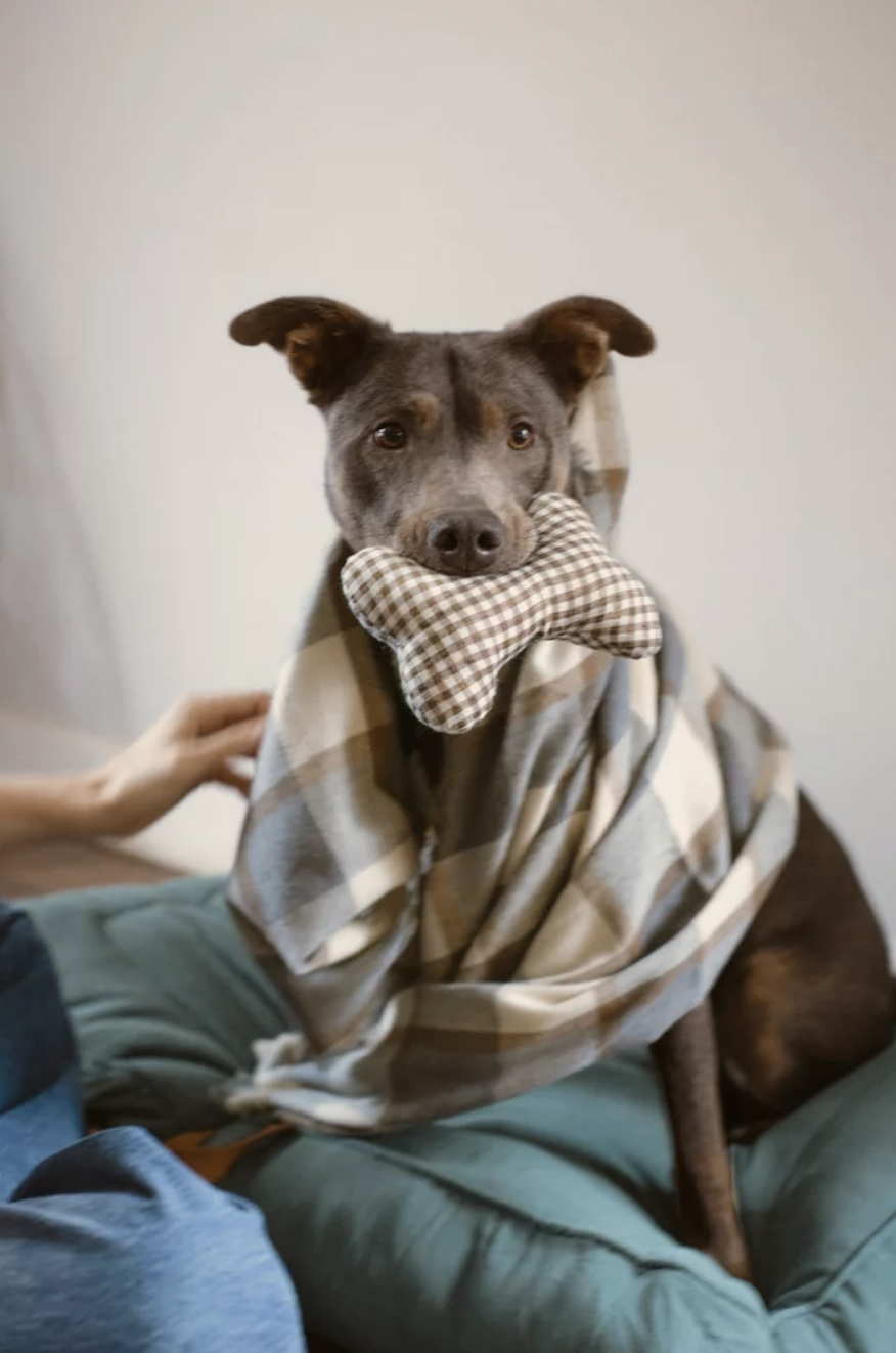 Screenshot 2023-04-01 at 6.48.34 PM.png