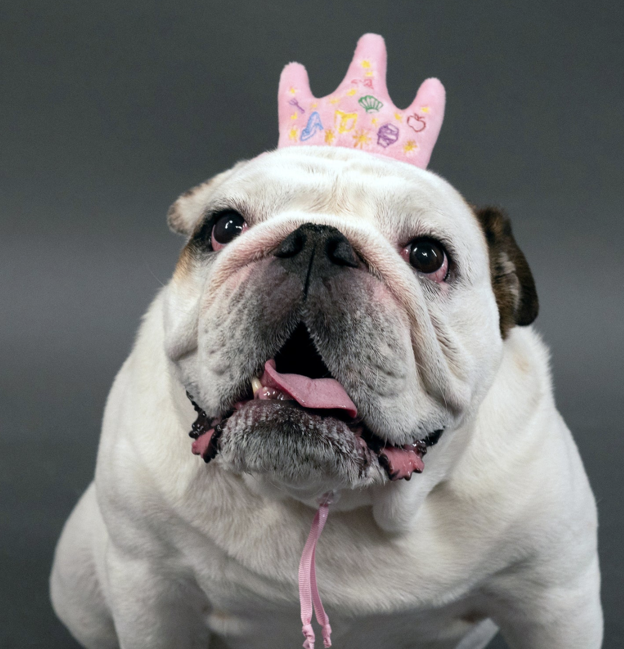 Screenshot 2024-11-13 at 7.43.01 PM.png