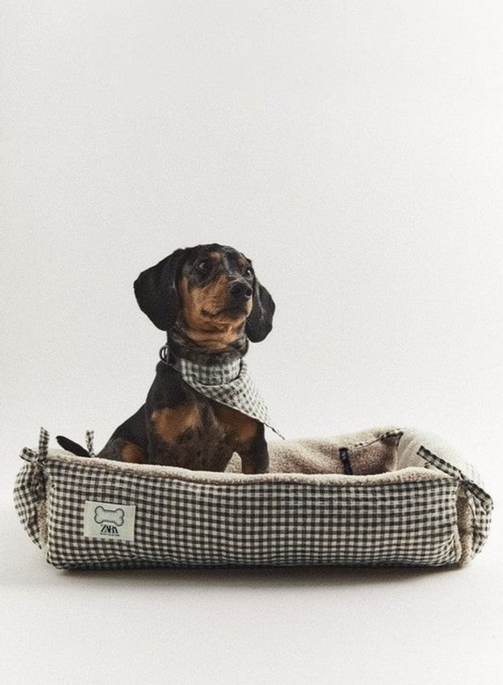 Screenshot 2023-04-01 at 6.48.49 PM.png