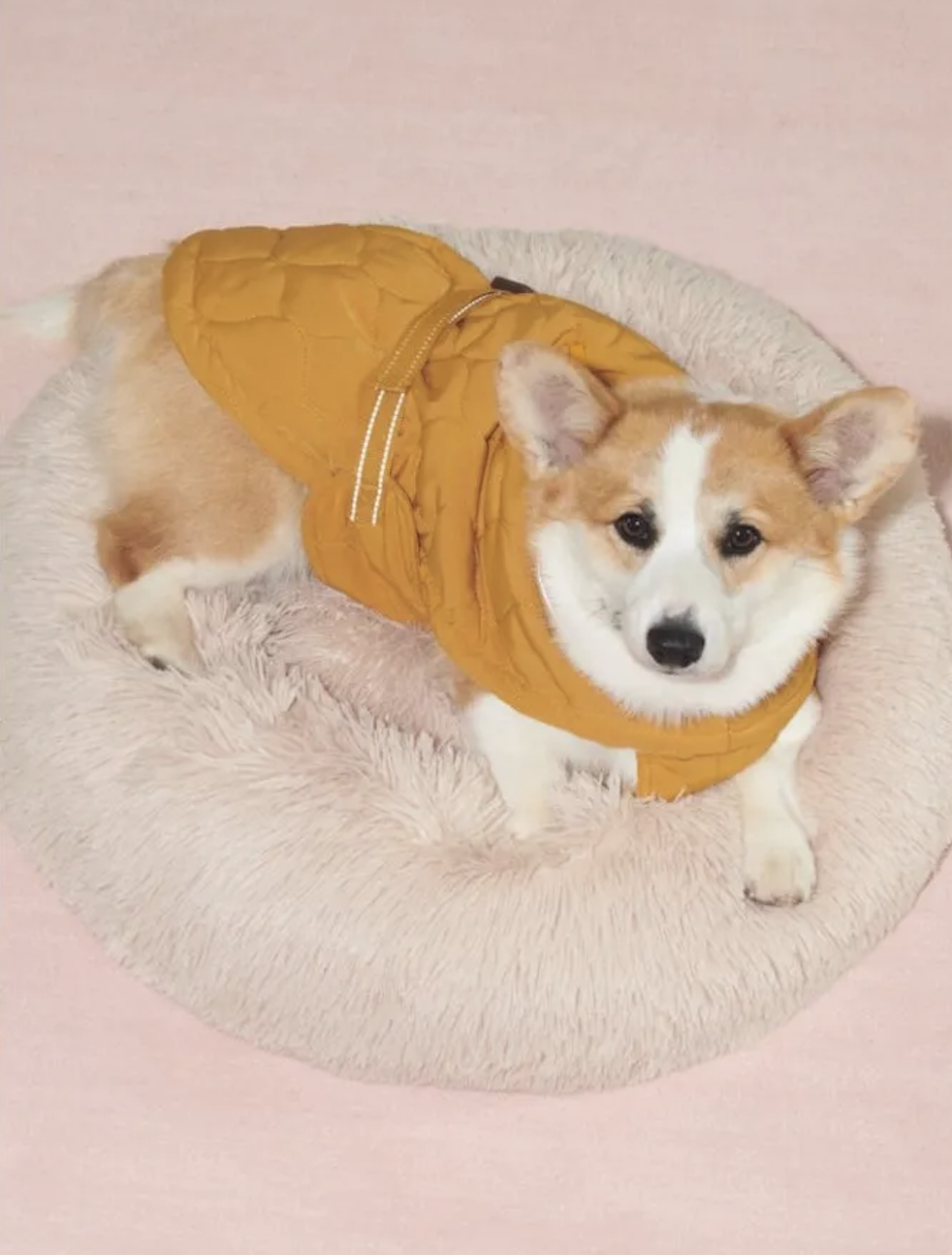 Screenshot 2023-11-15 at 10.19.14 PM.png