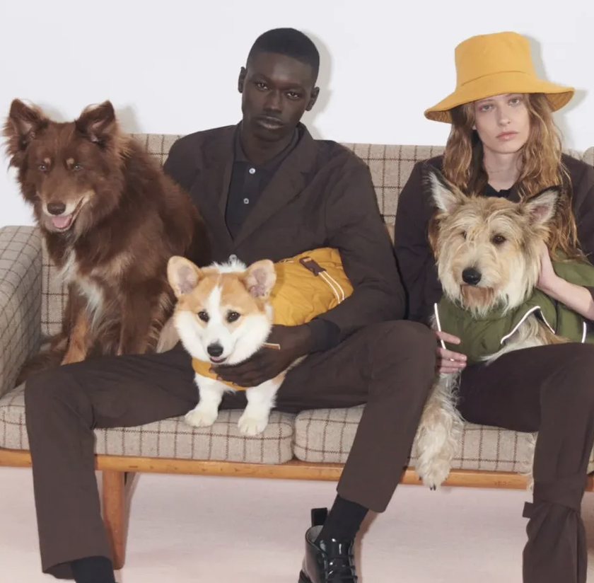 Screenshot 2023-11-15 at 10.18.58 PM.png