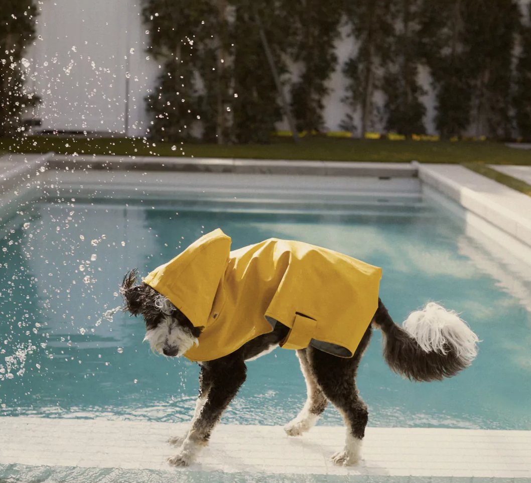 Screenshot 2023-11-15 at 10.20.05 PM.png