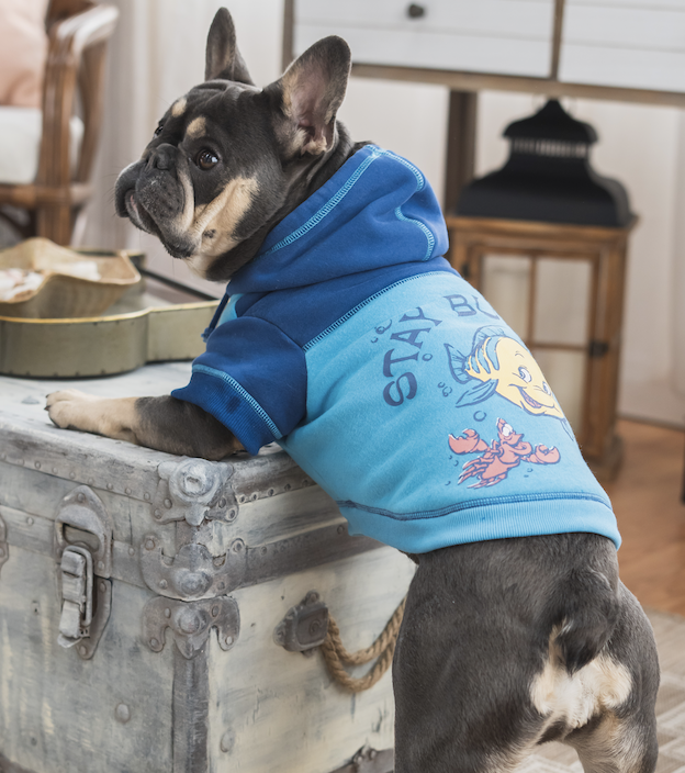 Screenshot 2023-05-03 at 12.37.19 PM.png