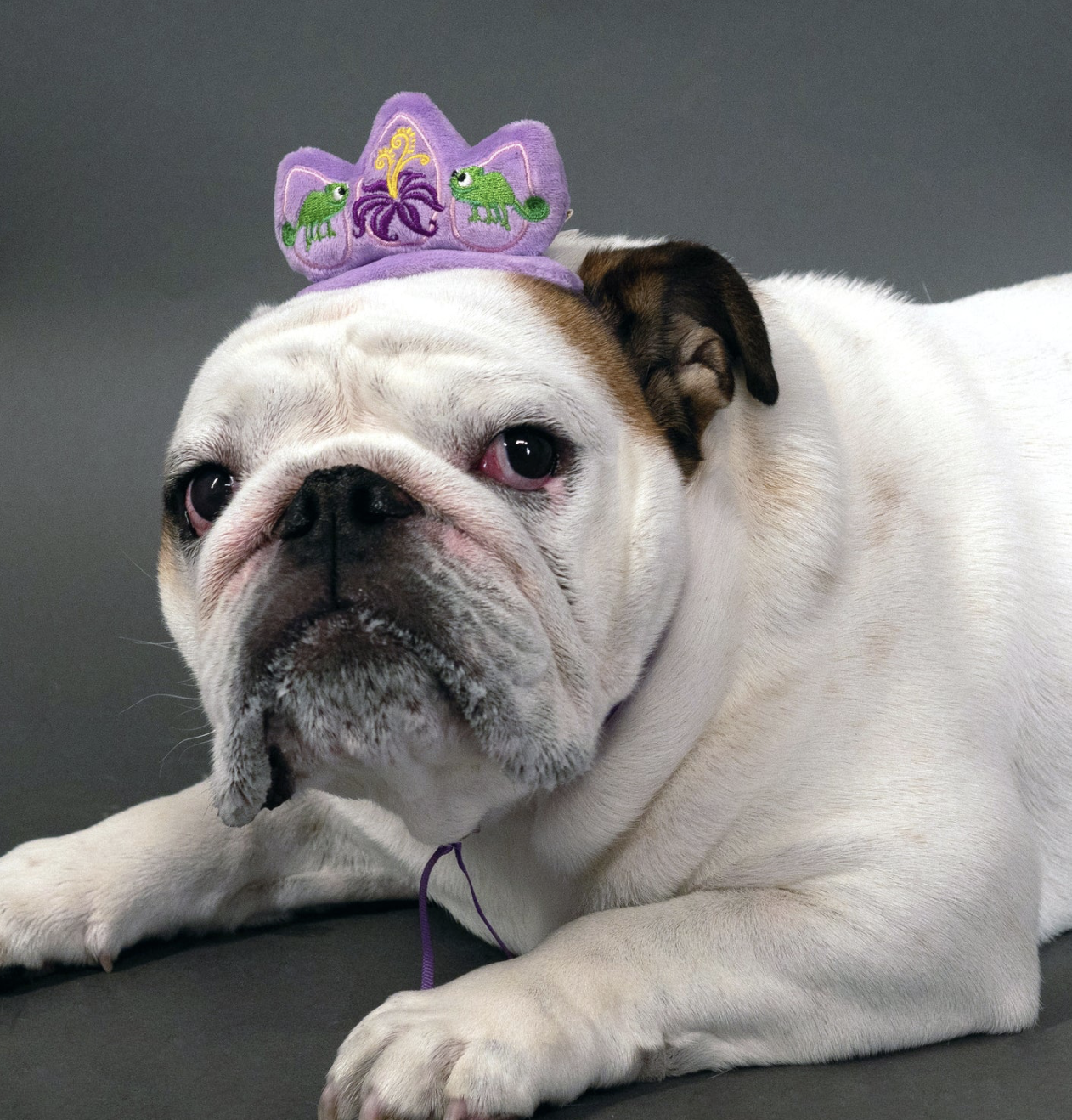 Screenshot 2024-11-13 at 7.43.21 PM.png